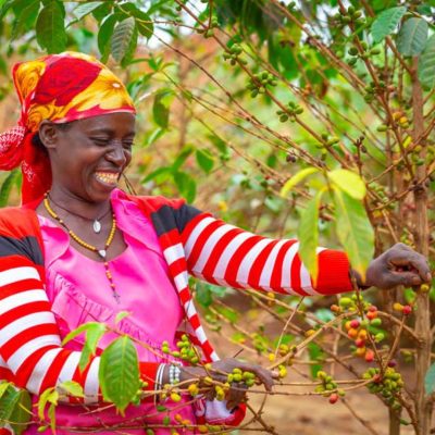 café Rwanda - Dukunde Kawa